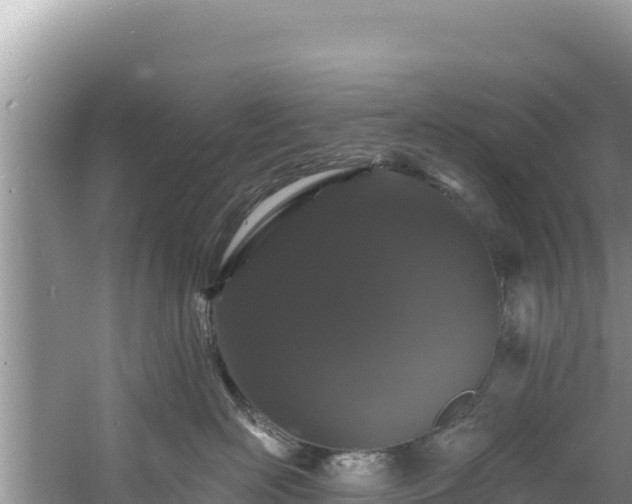 X0000060790526200511141447