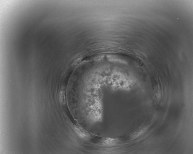 X0000060790527200511141447