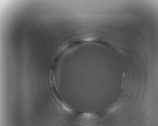 X0000060790528200511141447