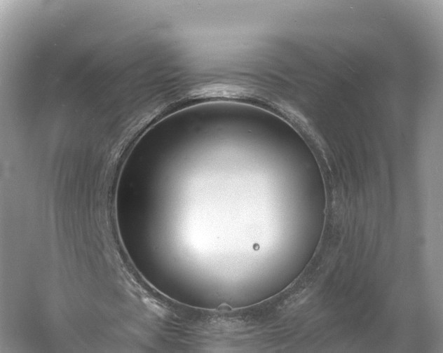 X0000060790529200511141446