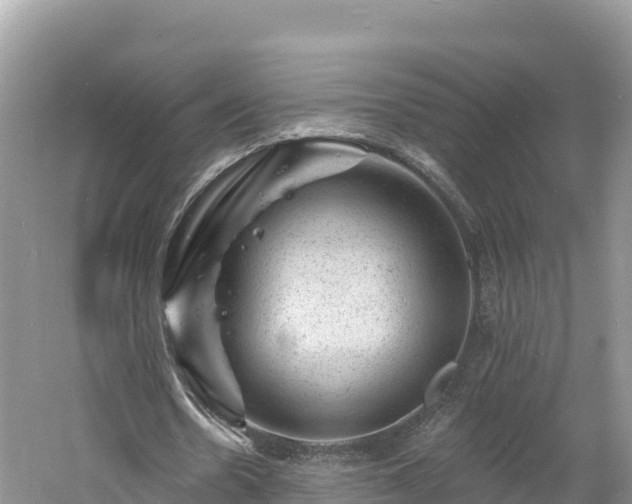 X0000060790530200511141446