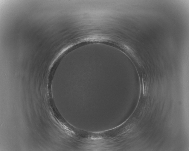 X0000060790531200511141446