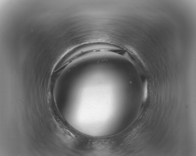 X0000060790532200511141446