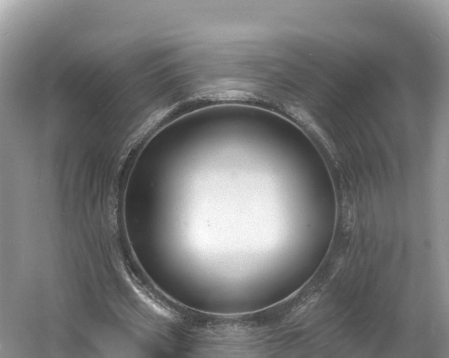 X0000060790533200511141446