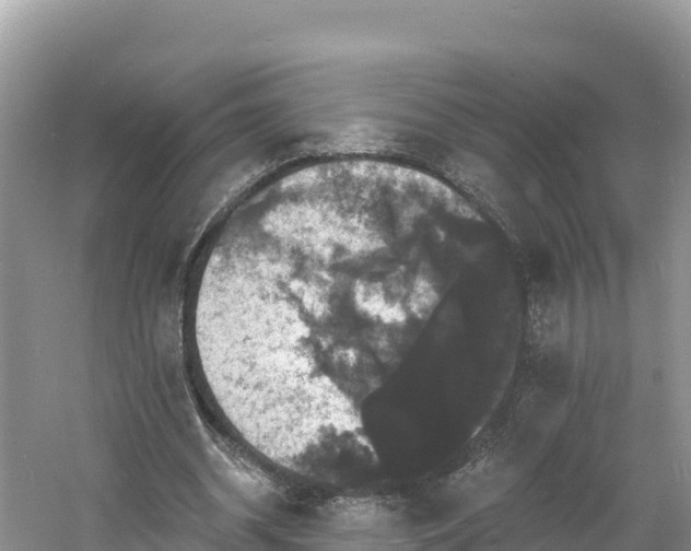 X0000060790534200511141446