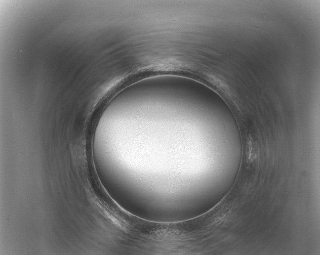 X0000060790535200511141446