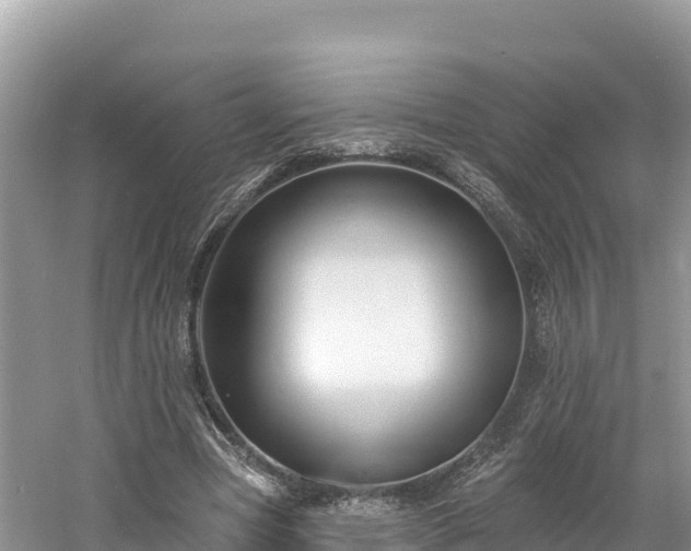 X0000060790537200511141446