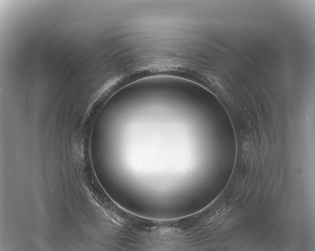 X0000060790539200511141446