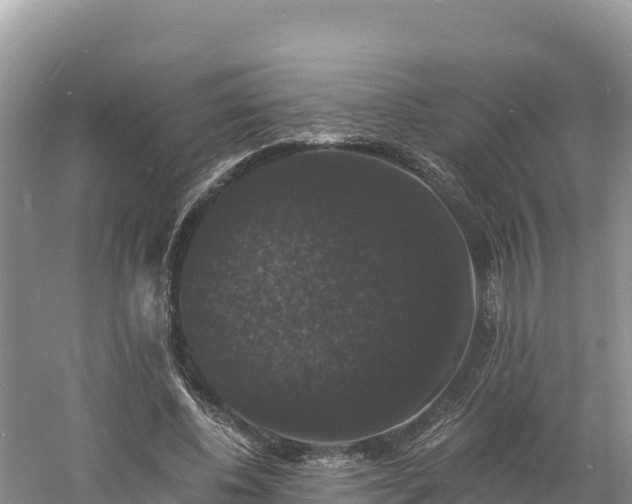 X0000060790540200511141446