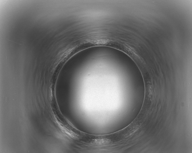 X0000060790541200511141446