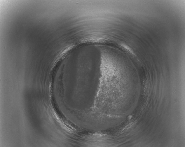 X0000060790542200511141446