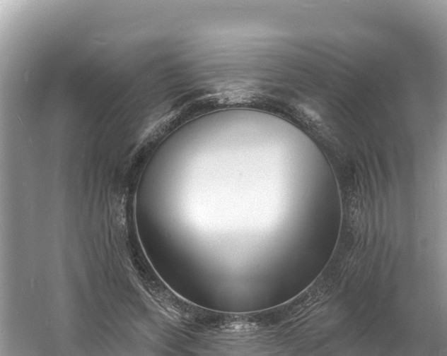 X0000060790543200511141446