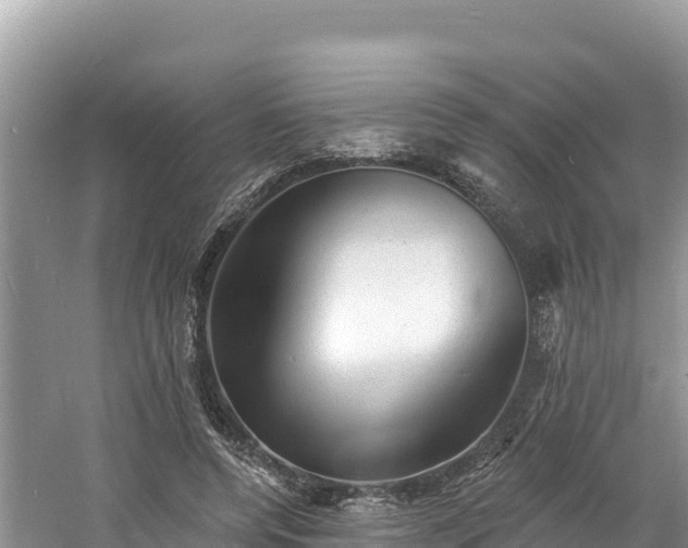 X0000060790544200511141446