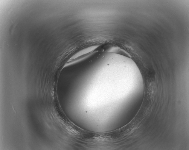 X0000060790545200511141446