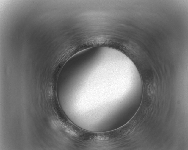 X0000060790546200511141446