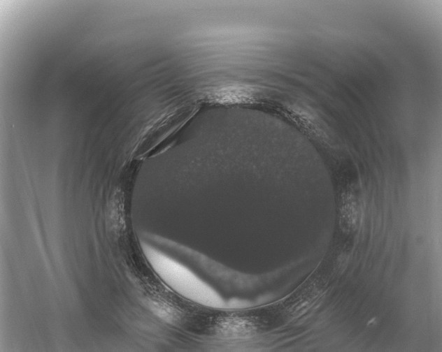 X0000060790547200511141446