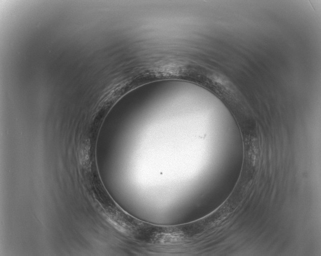 X0000060790548200511141446