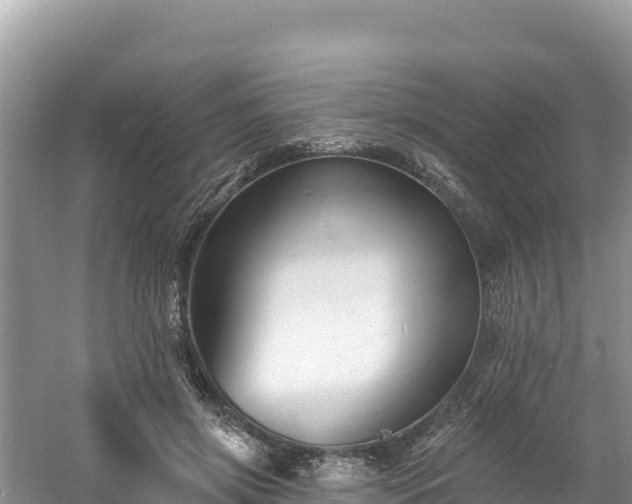 X0000060790549200511141446