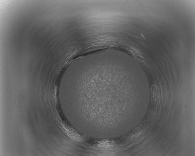 X0000060790550200511141446