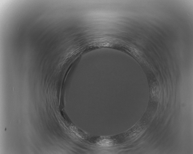 X0000060790551200511141446