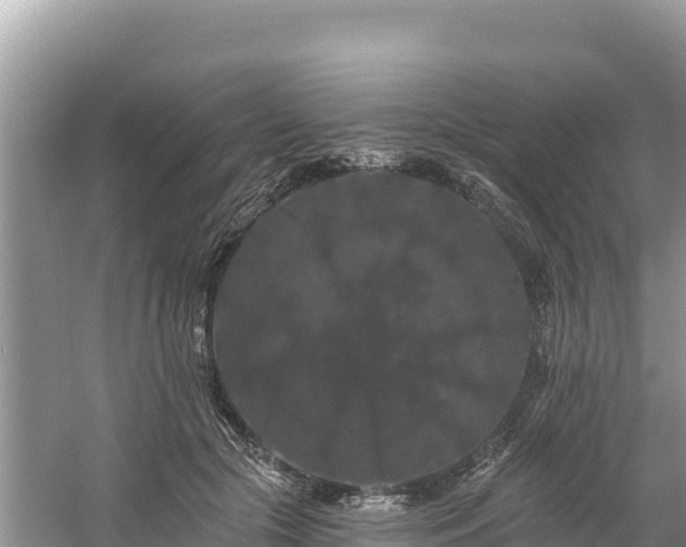 X0000060790553200511141446