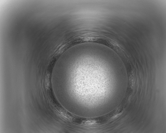 X0000060790554200511141446