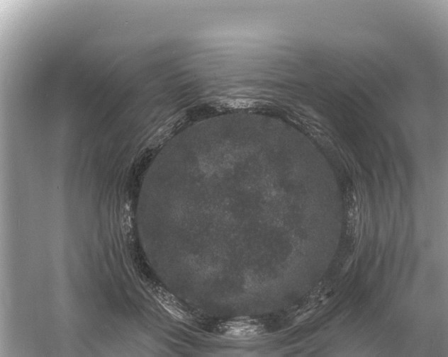 X0000060790555200511141446