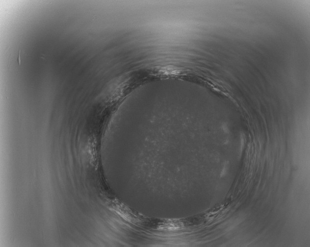 X0000060790559200511141446