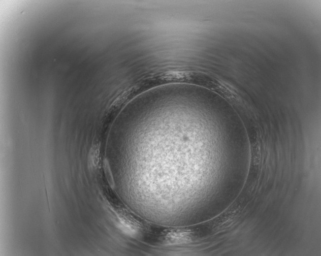 X0000060790560200511141447