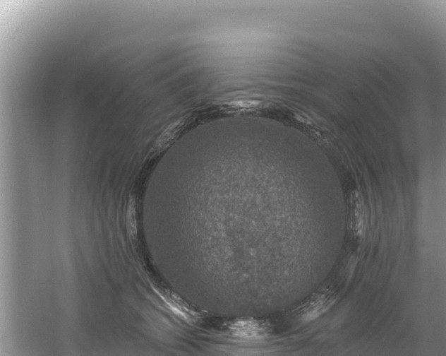 X0000060790562200511141447