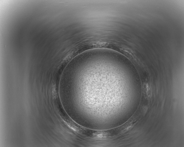 X0000060790564200511141447