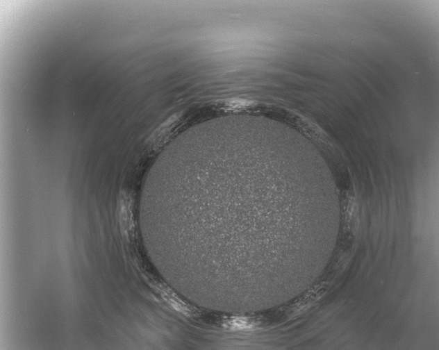 X0000060790565200511141447