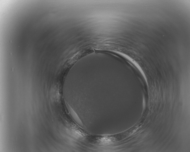 X0000060790566200511141447