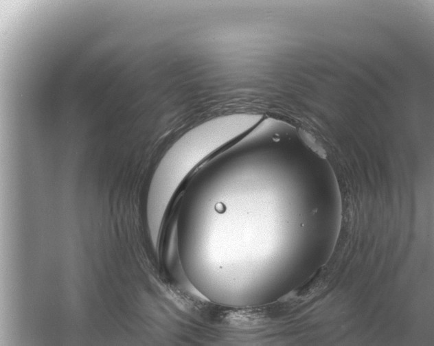 X0000060790568200511141447