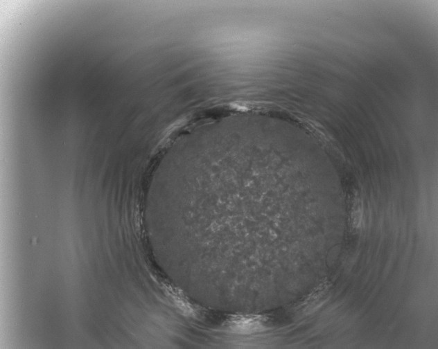 X0000060790569200511141447