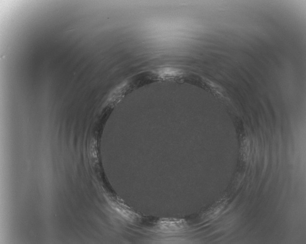 X0000060790571200511141447