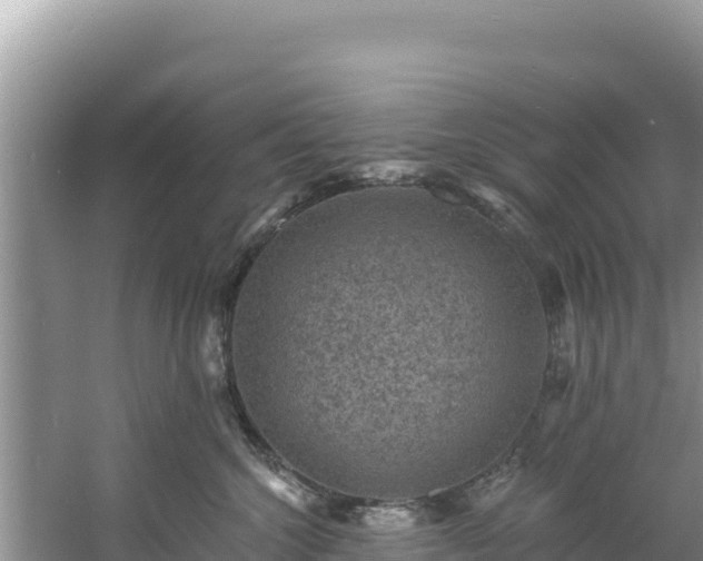 X0000060790572200511141447