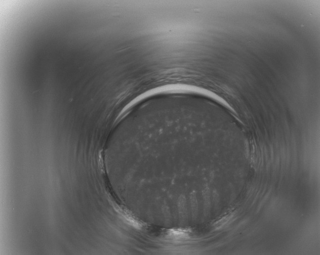 X0000060790573200511141447