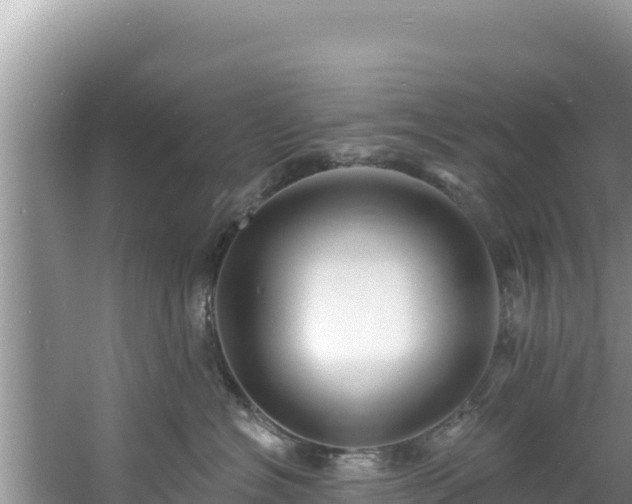 X0000060790574200511141447