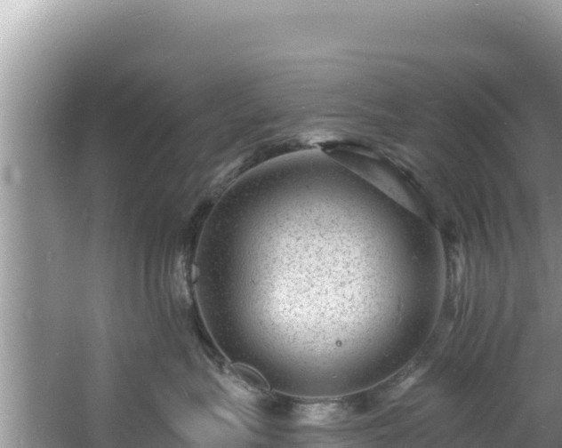 X0000060790575200511141447