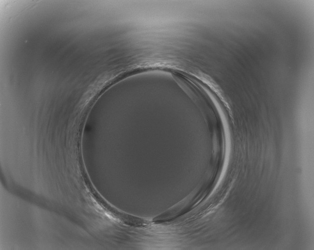 X0000060790577200511141446