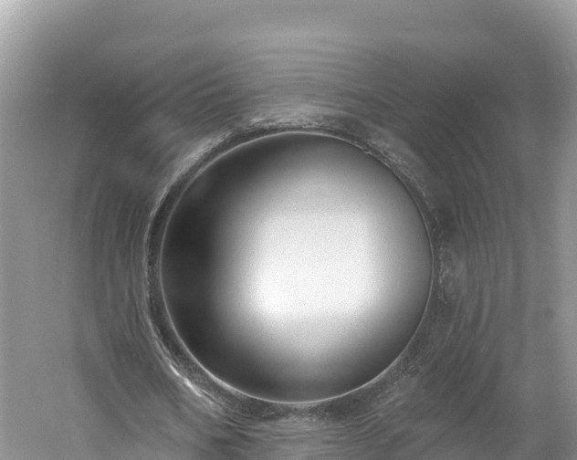 X0000060790578200511141446