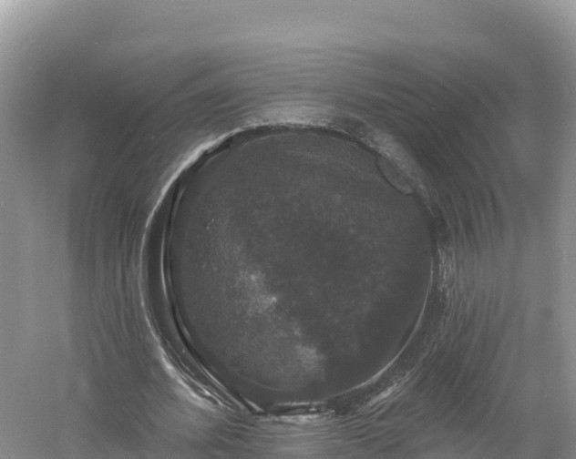 X0000060790580200511141446