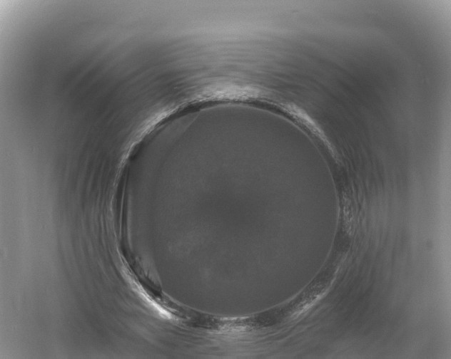 X0000060790581200511141446