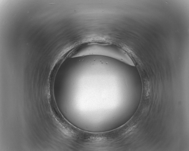 X0000060790582200511141446