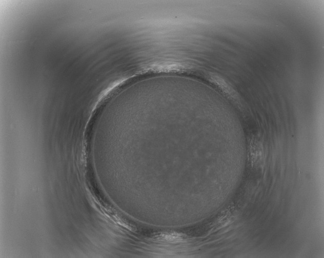 X0000060790583200511141446