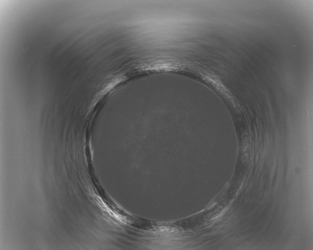 X0000060790585200511141446