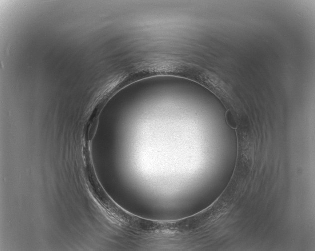 X0000060790586200511141446