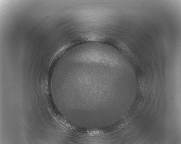 X0000060790587200511141446