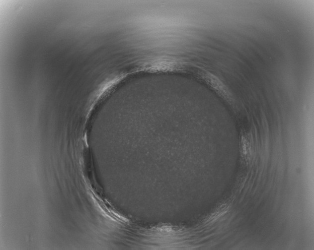 X0000060790588200511141446